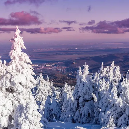 Atelier Wolkenschloss דירה