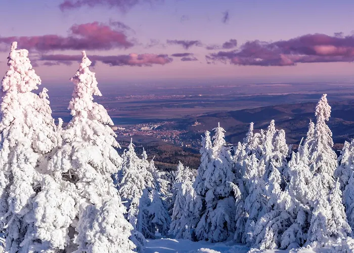 Atelier Wolkenschloss Lejlighed